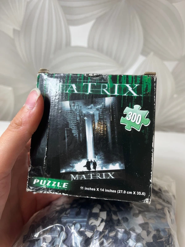 Dėlionė (300 dalių) „The Matrix“