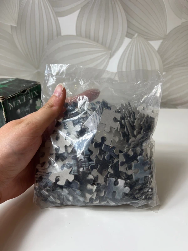 Dėlionė (300 dalių) „The Matrix“