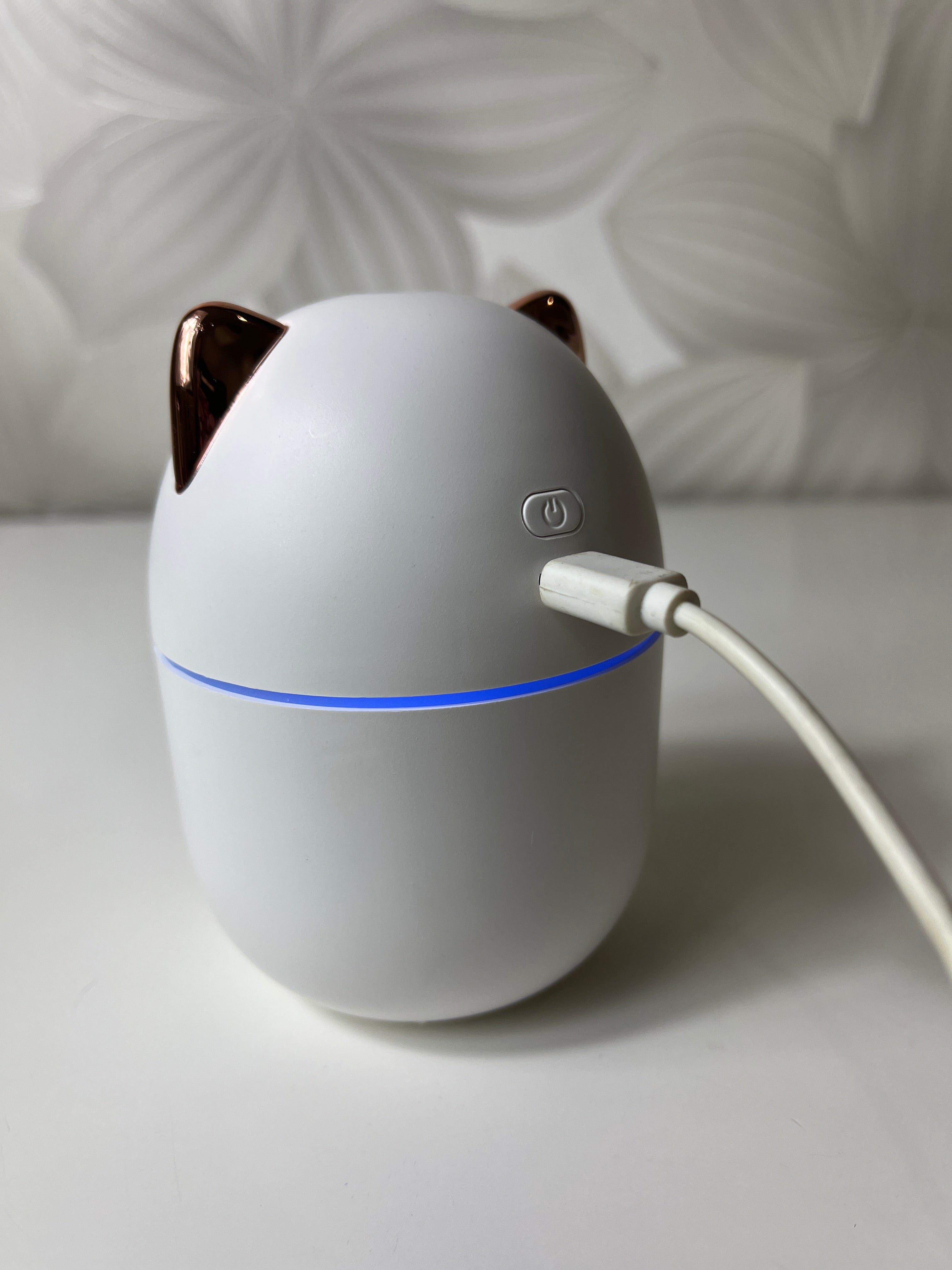 Smagus katytės formos aromaterapinis difuzorius