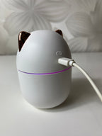 Smagus katytės formos aromaterapinis difuzorius