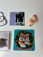 Nedidelė magnetukų kolekcija