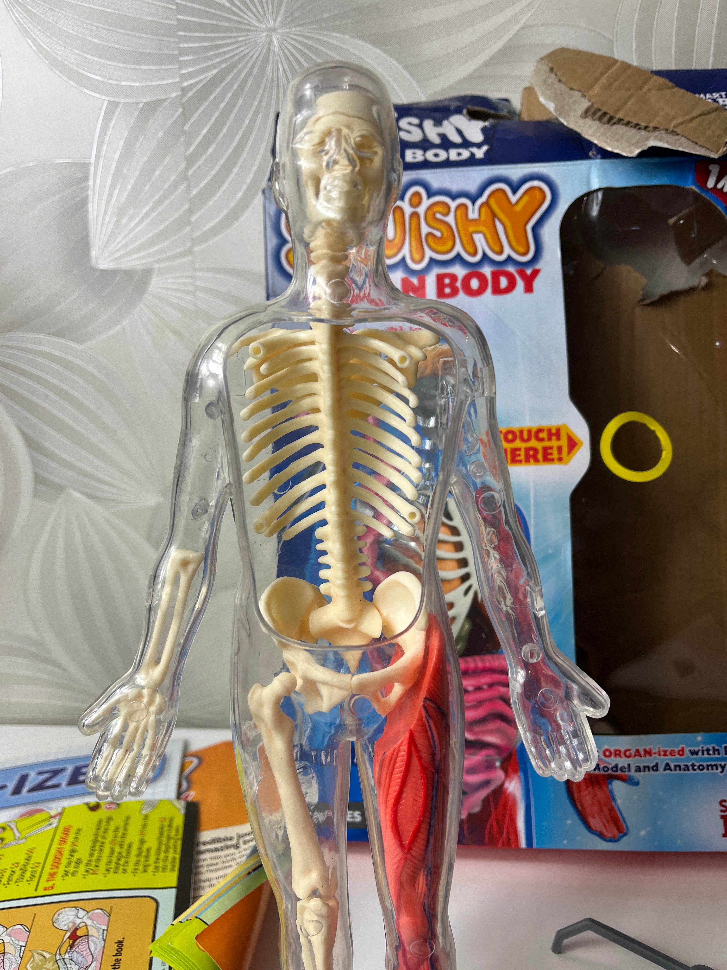 Lavinamasis žaislas „Žmogaus kūnas“