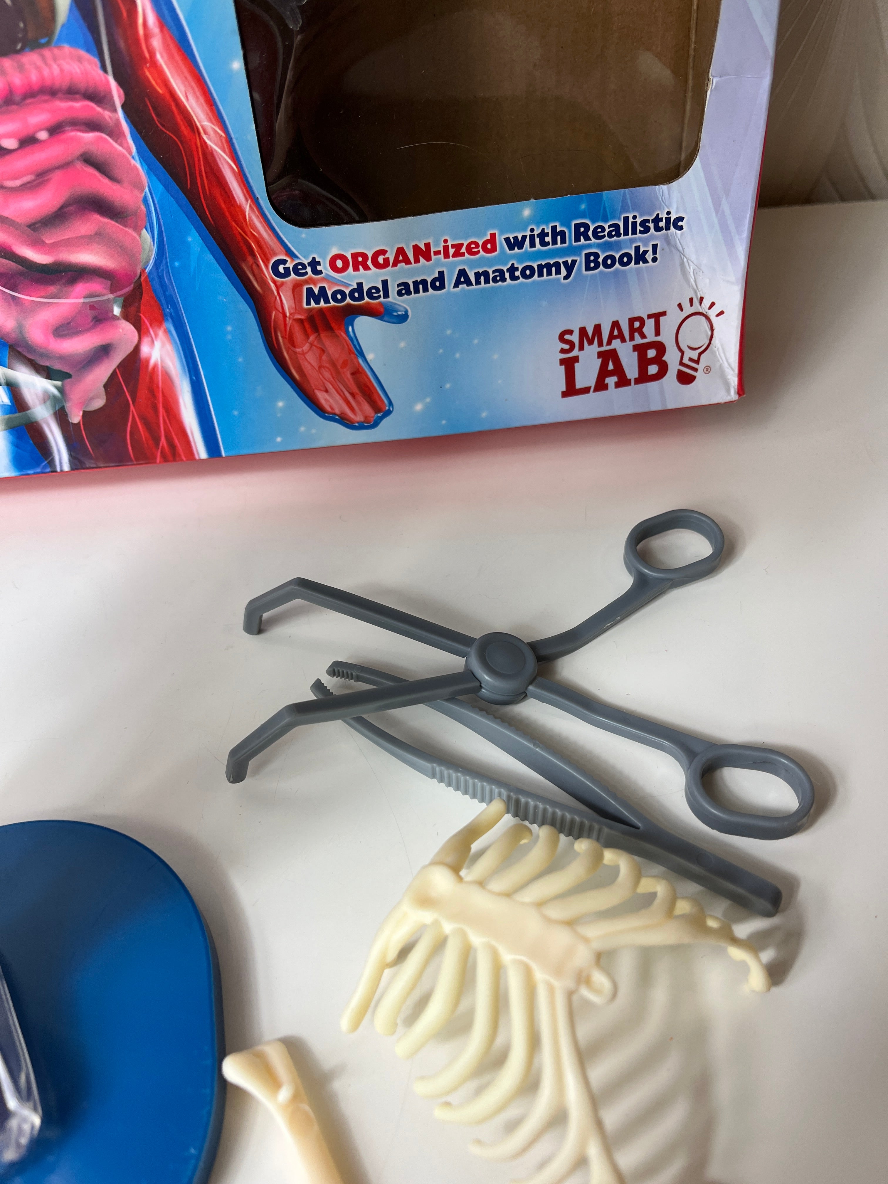 Lavinamasis žaislas „Žmogaus kūnas“