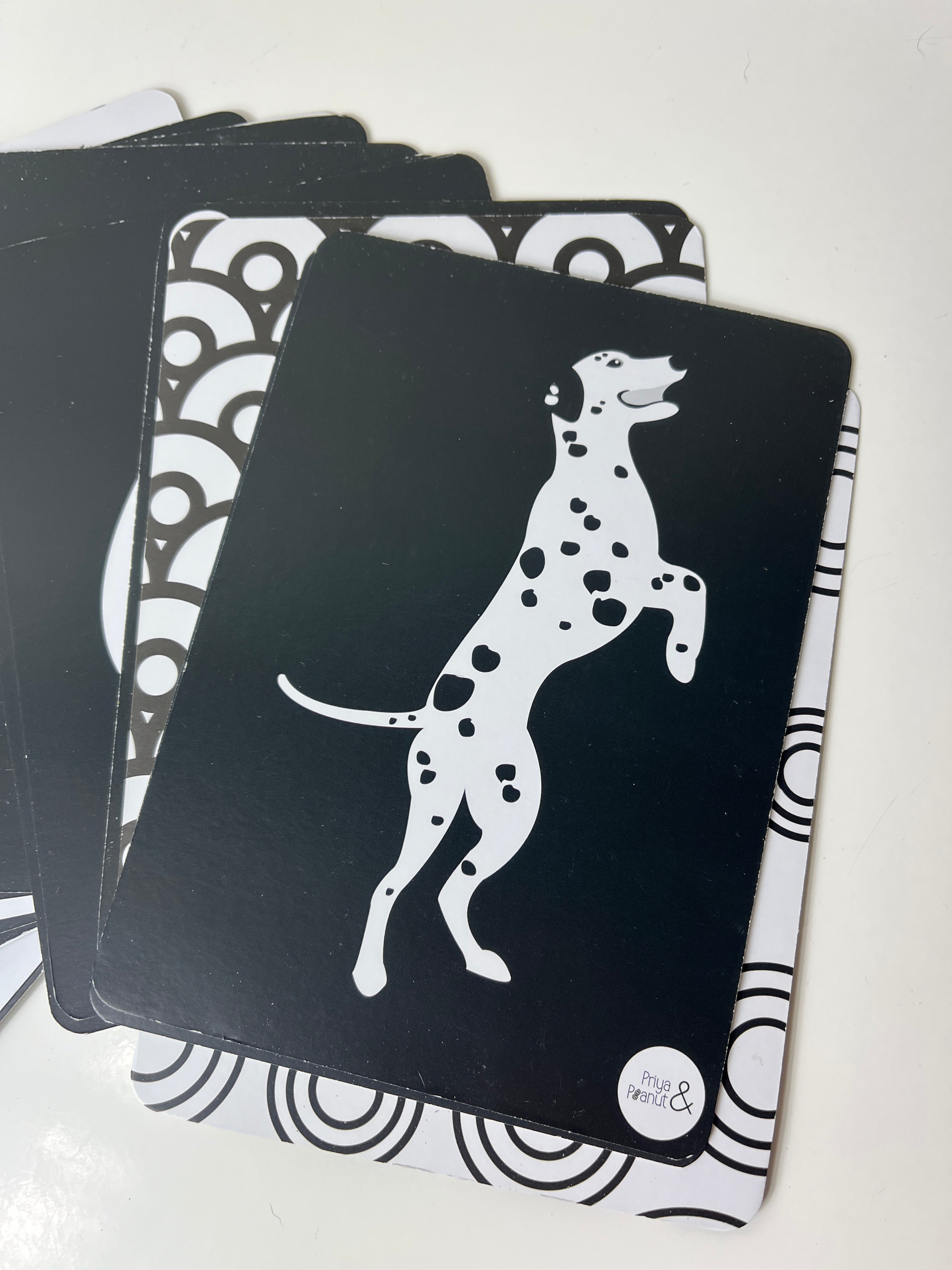 Sensorinės lavinimo kortelės mažyliams „The Sensory Collection“