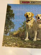 Dėlionė su labradorais