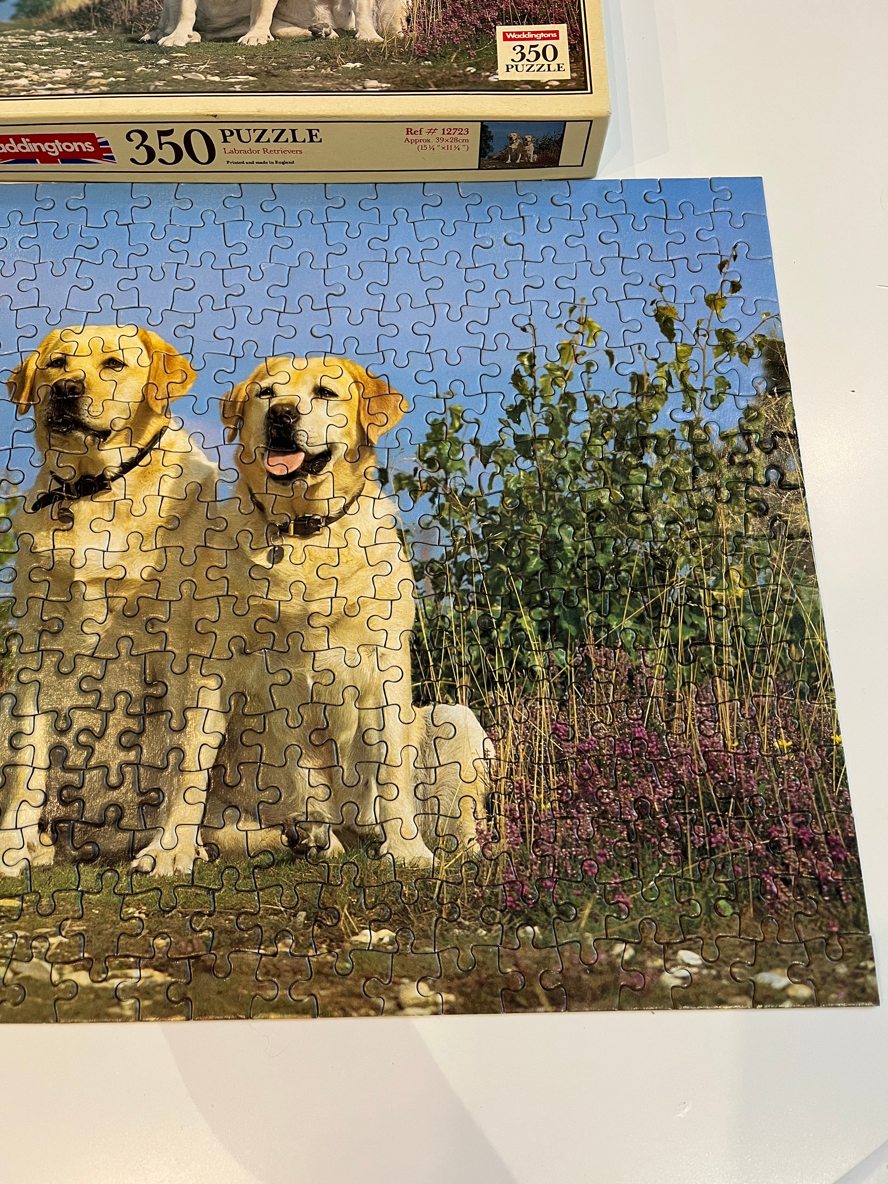 Dėlionė su labradorais