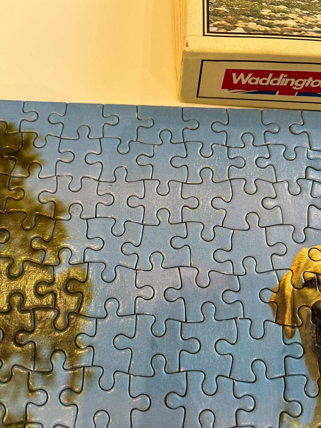 Dėlionė su labradorais