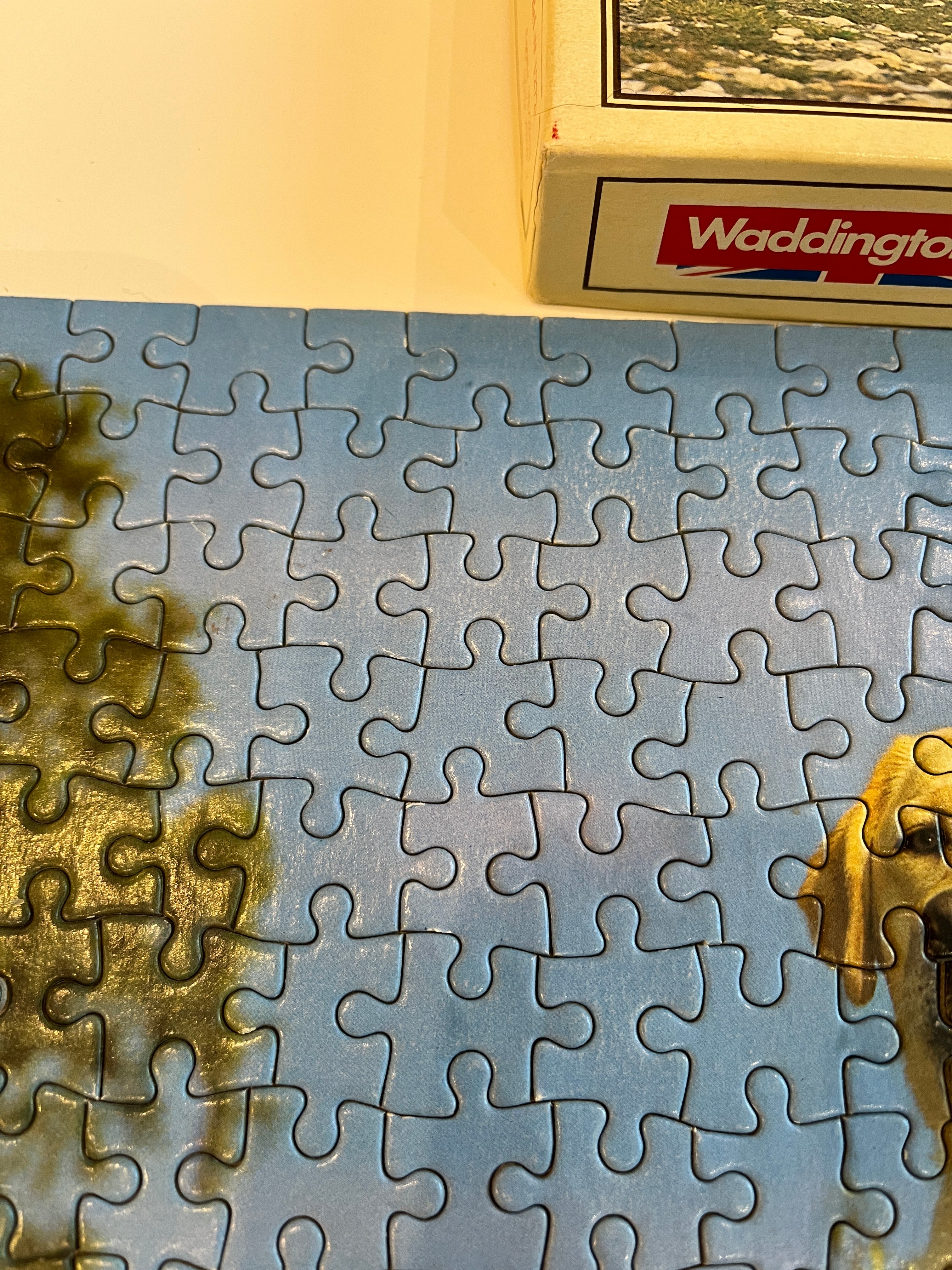 Dėlionė su labradorais