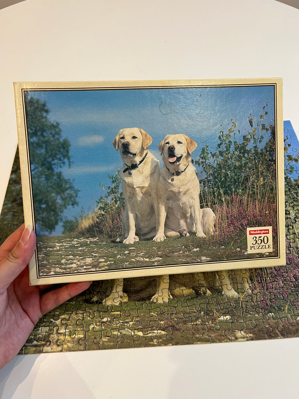 Dėlionė su labradorais