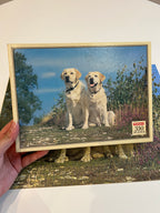 Dėlionė su labradorais