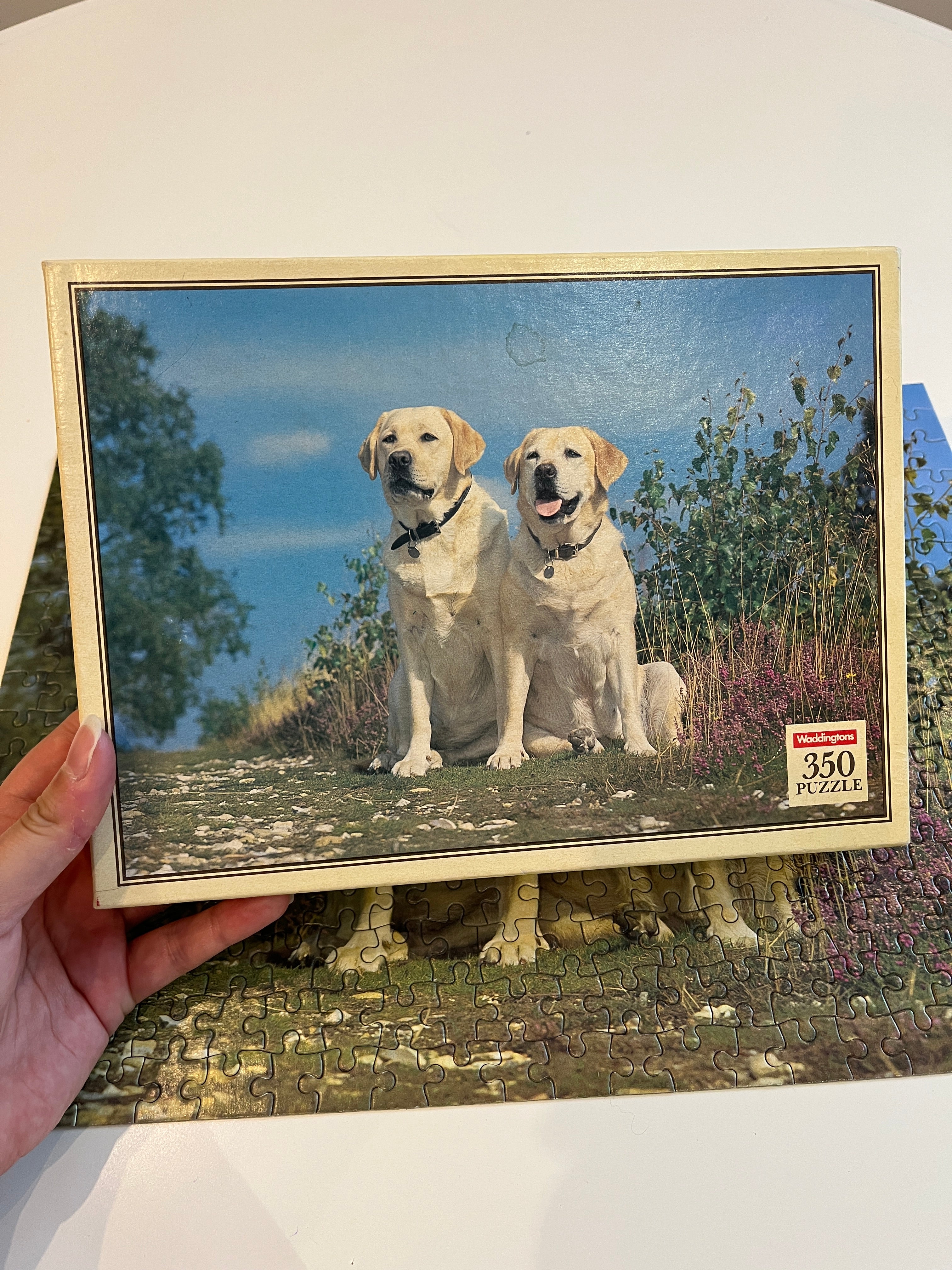 Dėlionė su labradorais