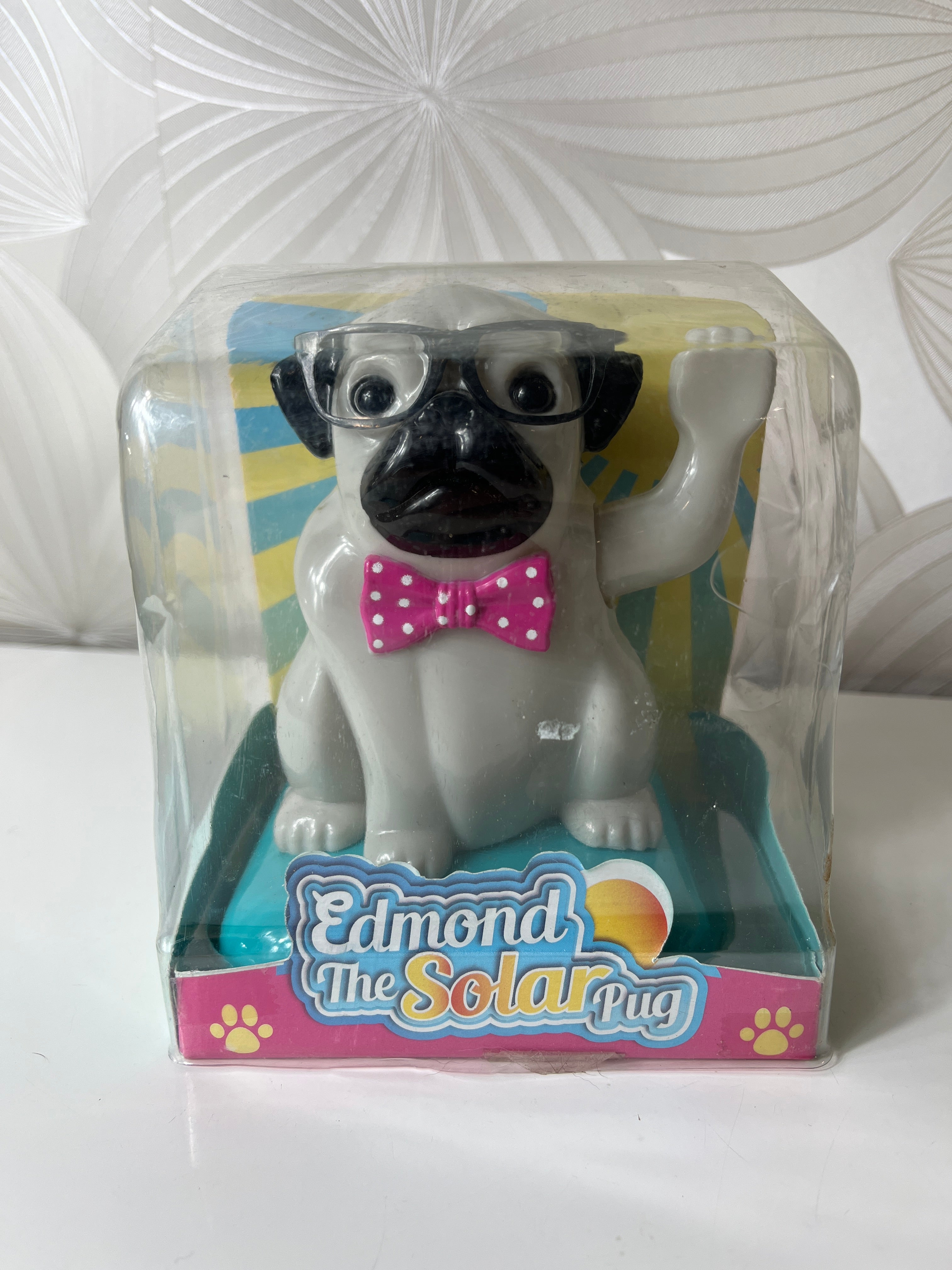 Šuo judinantis leteną „Edmond the Solar Pug“