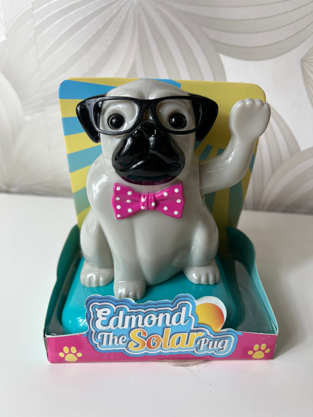 Šuo judinantis leteną „Edmond the Solar Pug“