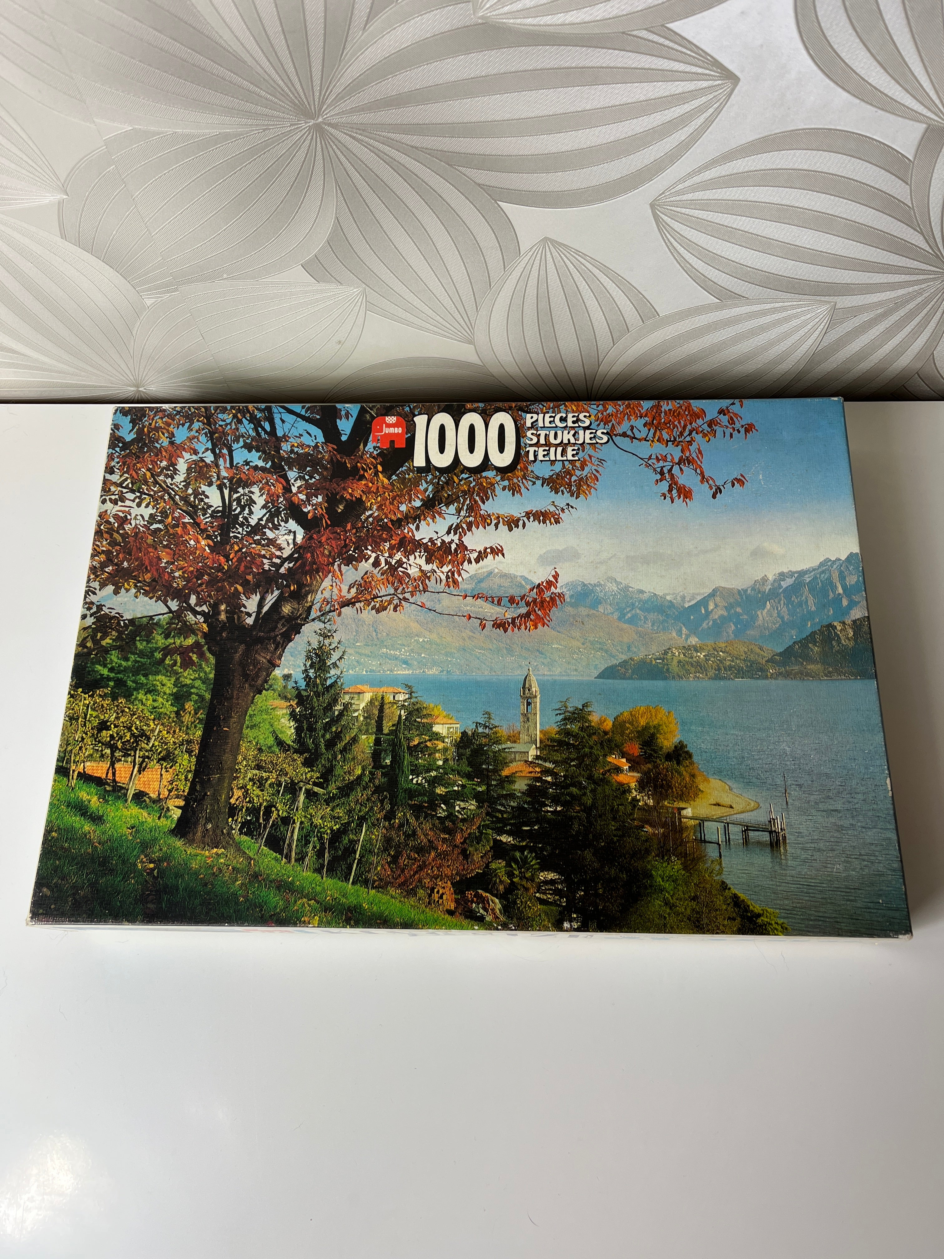 Dėlionė (1000 dalių) su nuostabiu ežero vaizdu