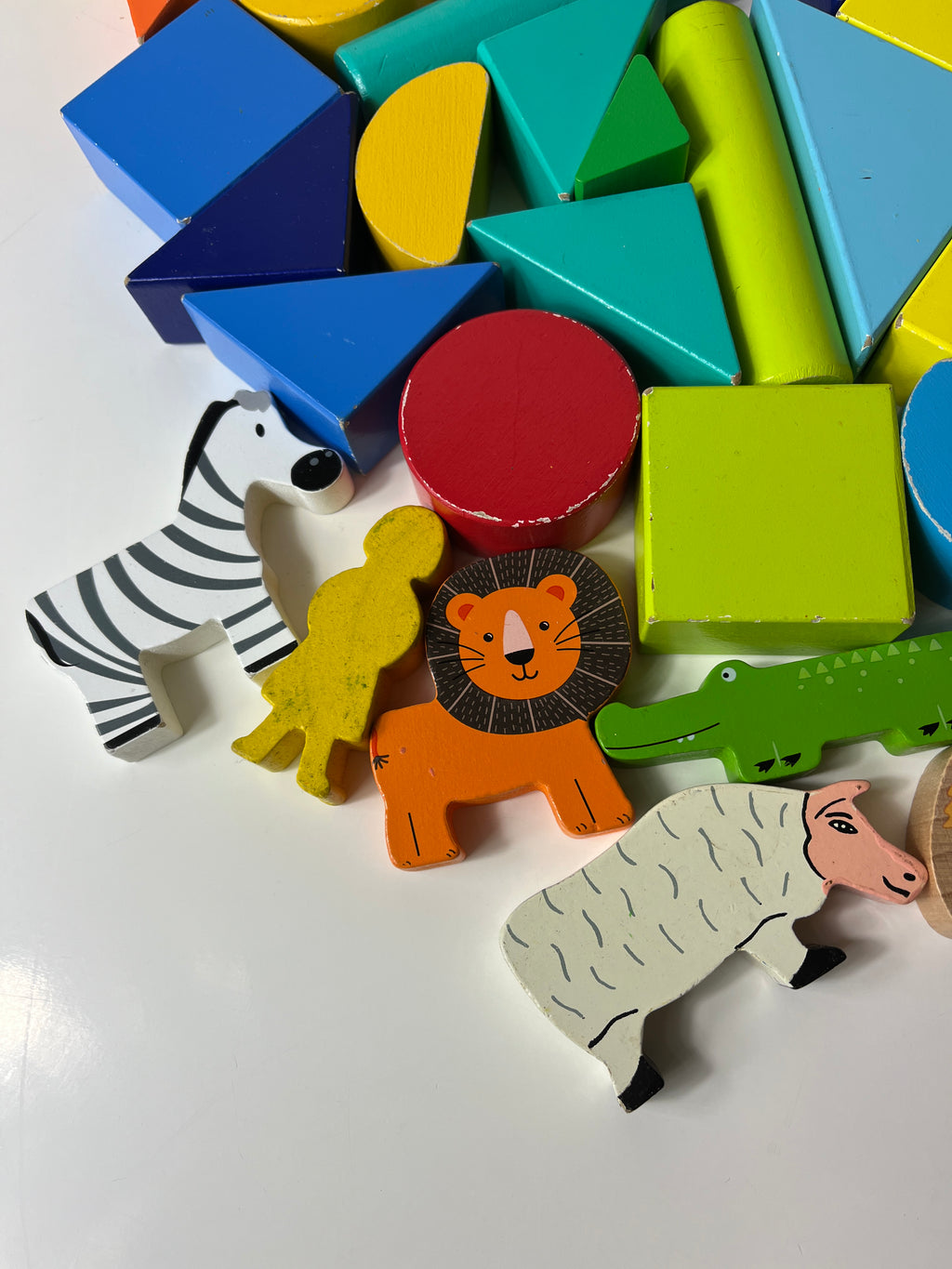 Medinių gyvūnų ir dalių konstuktorius