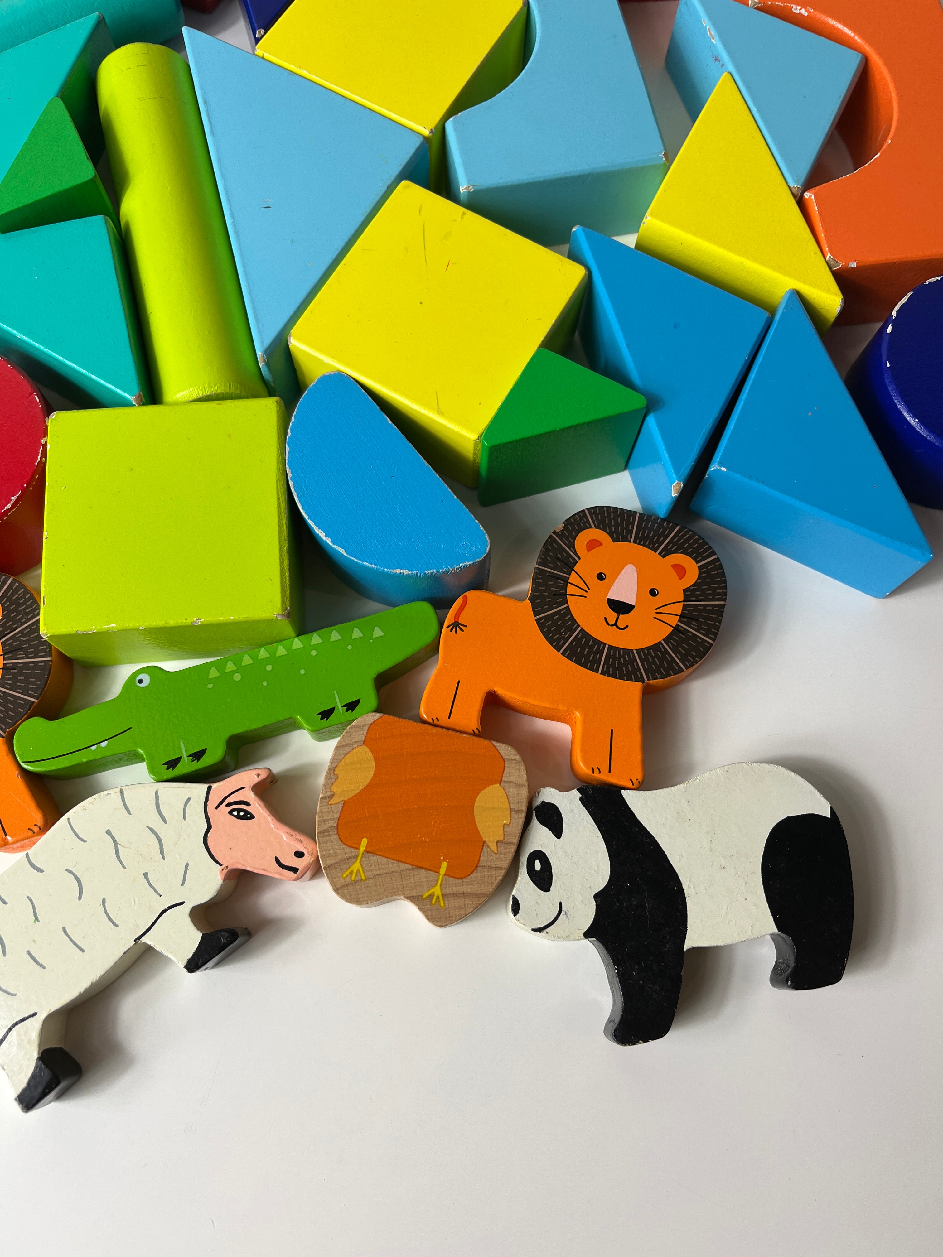 Medinių gyvūnų ir dalių konstuktorius