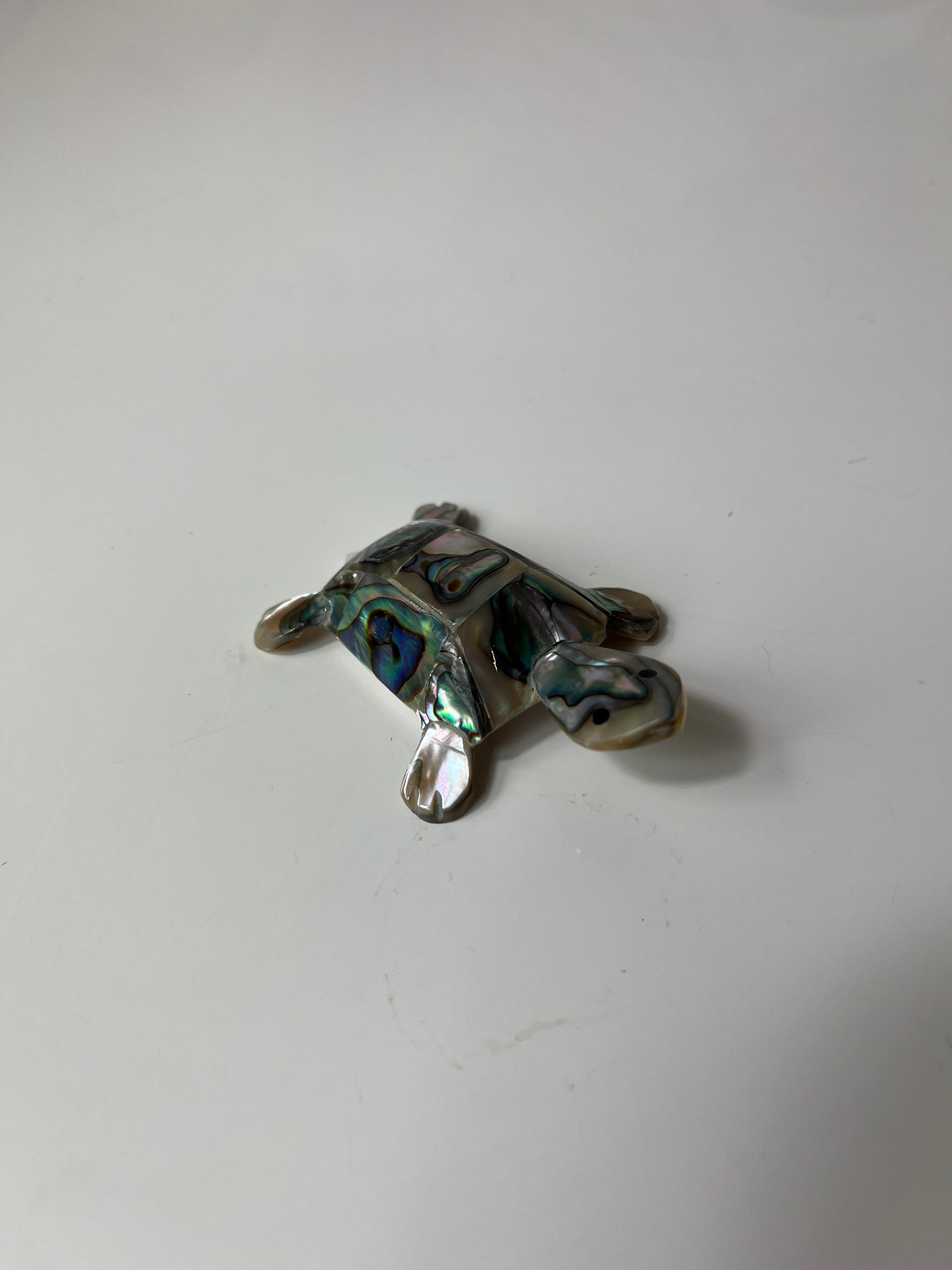 Jūros moliusko kiauto vėžliuko figūrėlė