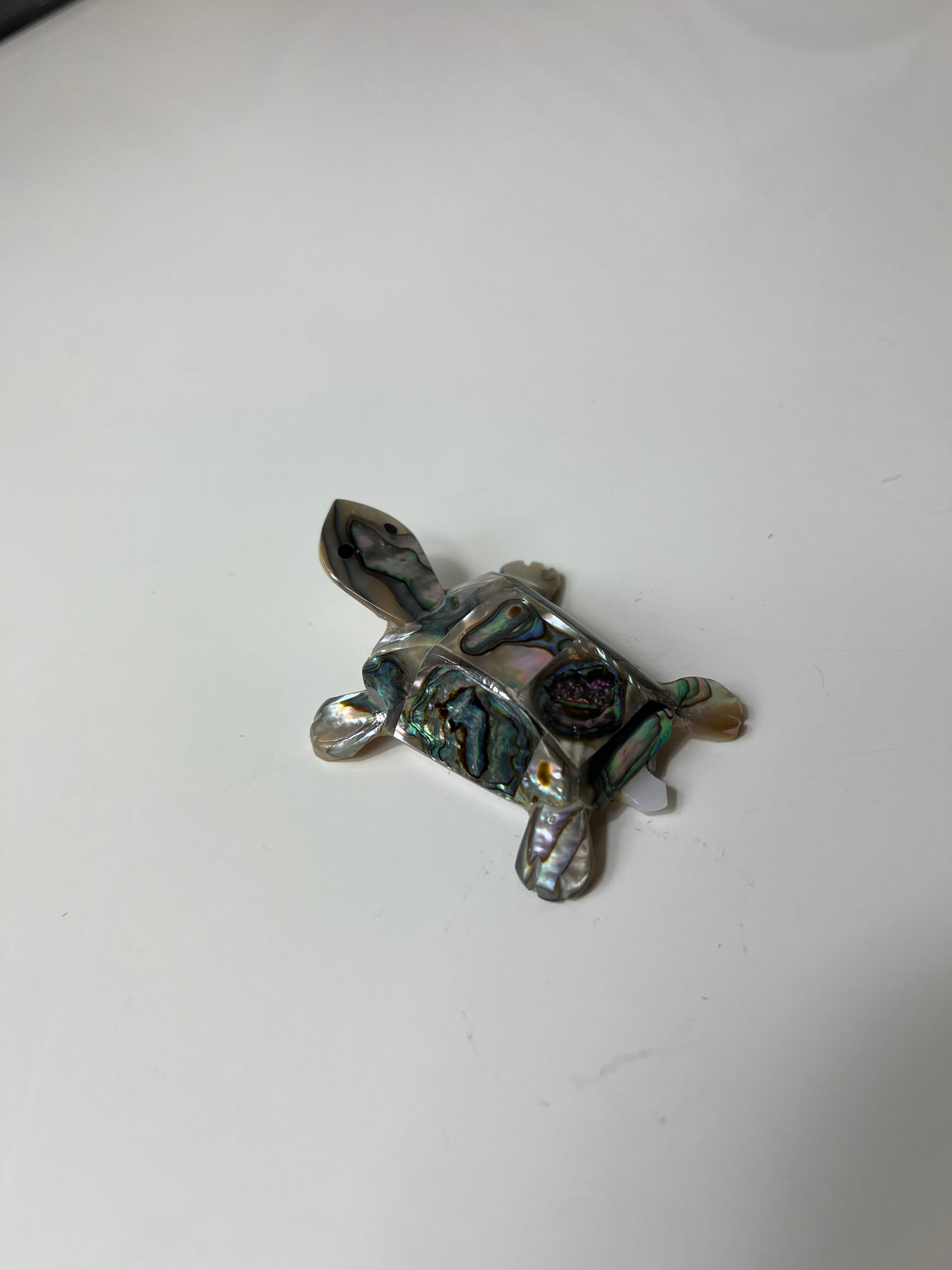 Jūros moliusko kiauto vėžliuko figūrėlė