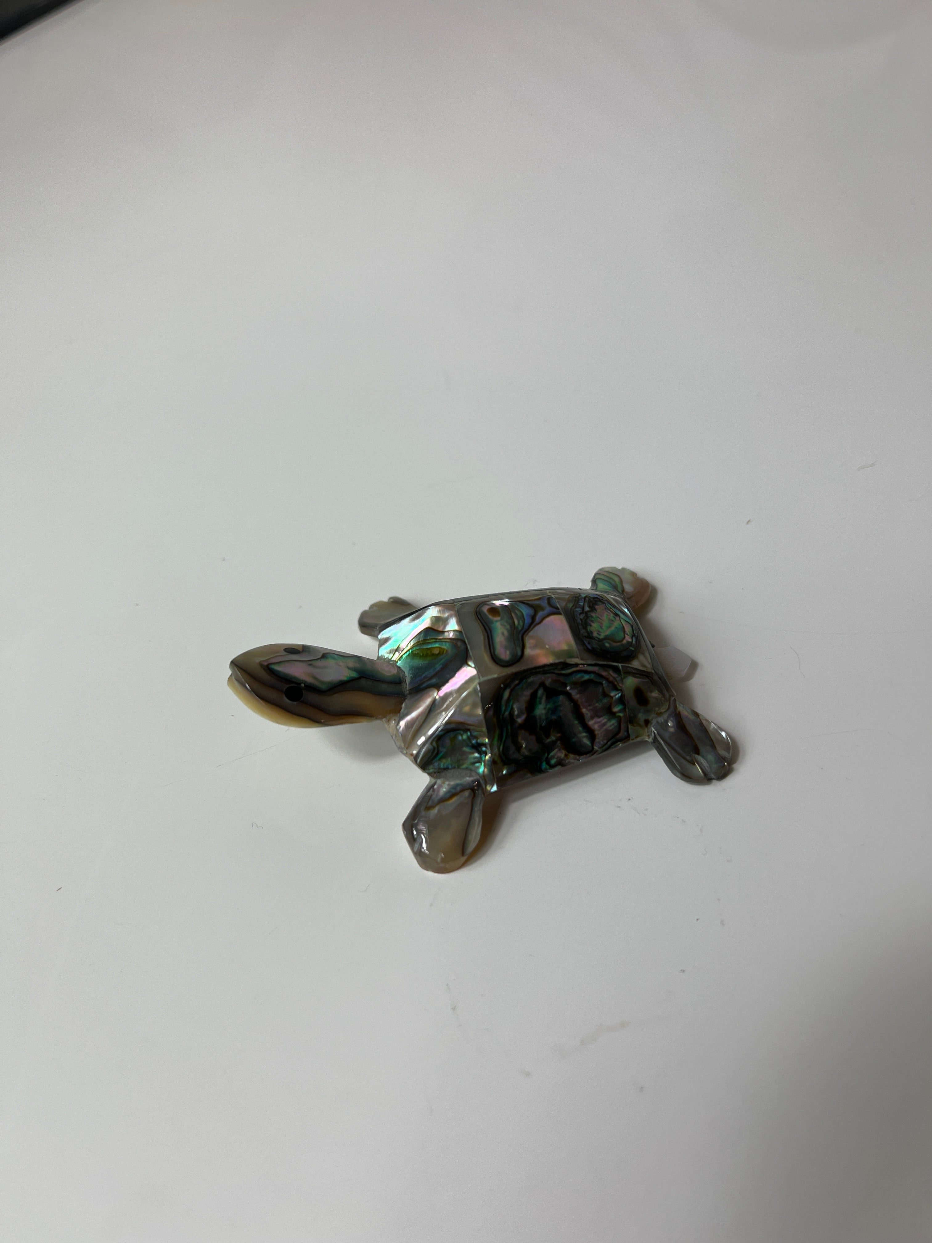 Jūros moliusko kiauto vėžliuko figūrėlė