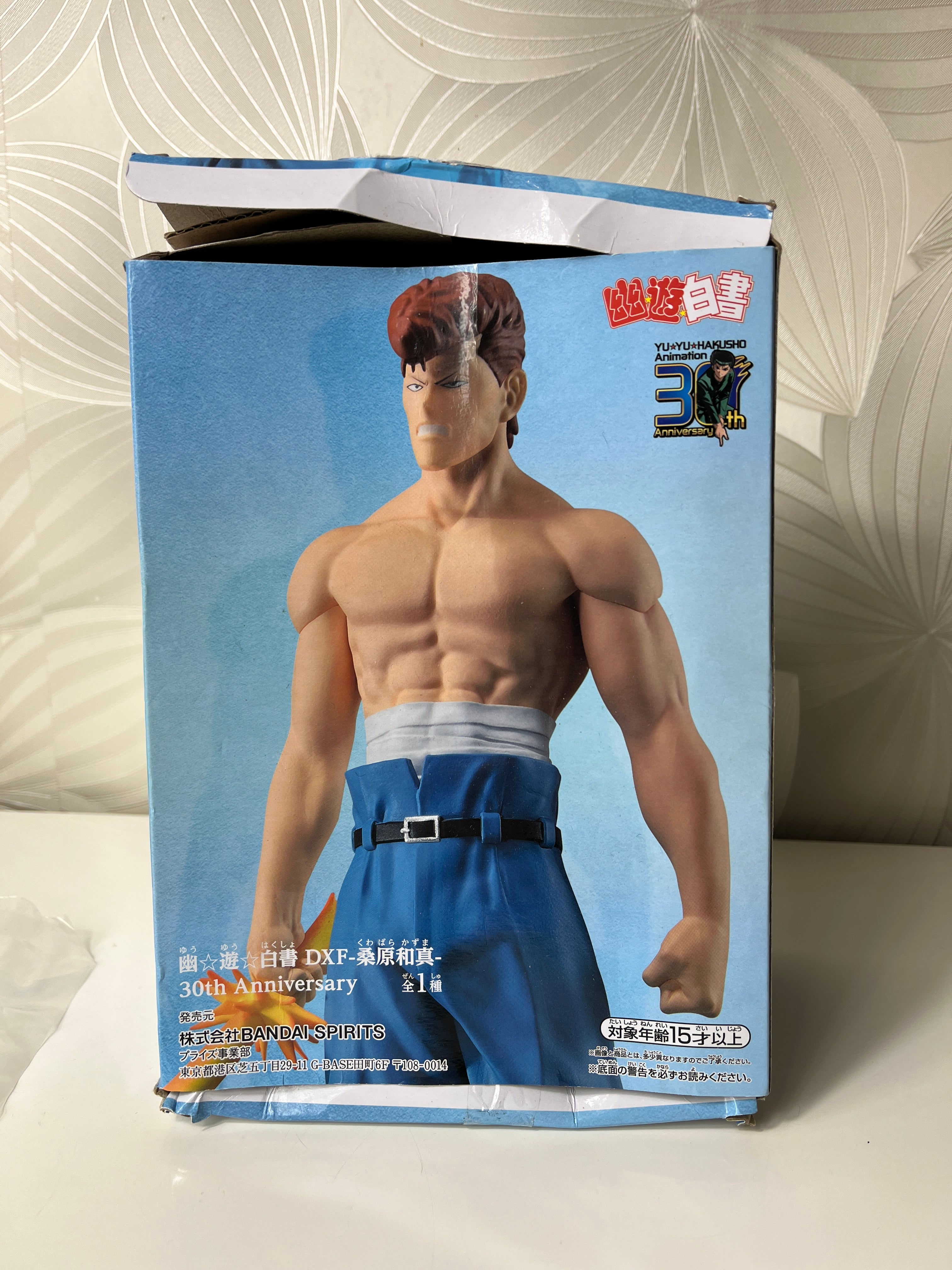 Kolekcinė jubiliejinė „Yu Yu Hakusho“ figūrėlė