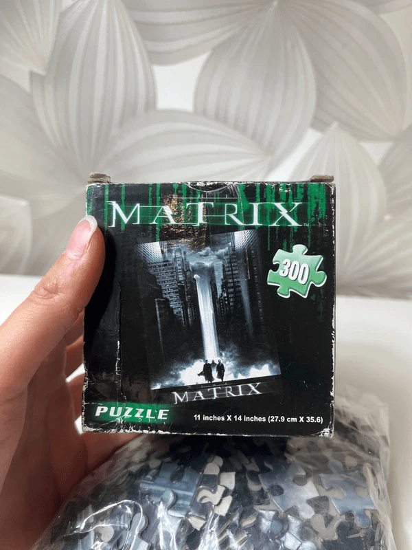 Dėlionė (300 dalių) „The Matrix“ - Daiktų atokvėpis