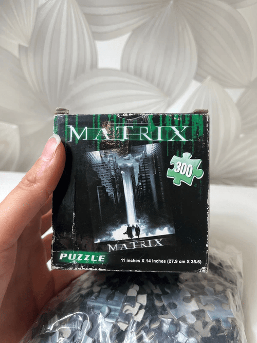 Dėlionė (300 dalių) „The Matrix“ - Daiktų atokvėpis