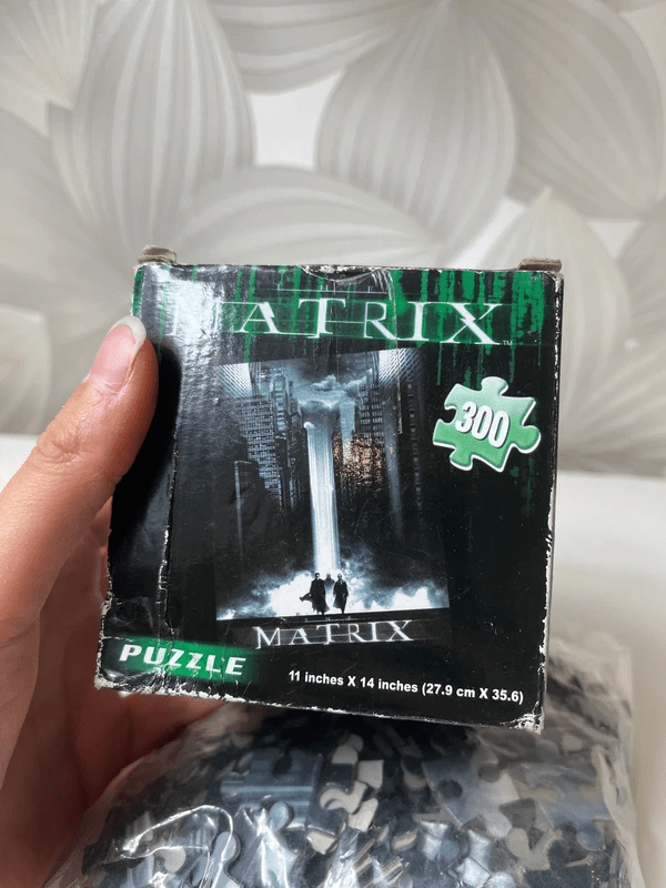 Dėlionė (300 dalių) „The Matrix“ - Daiktų atokvėpis